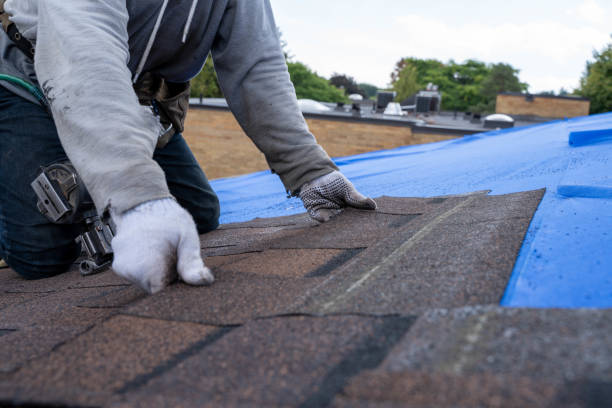 Best Roof Waterproofing Services  in New London, OH